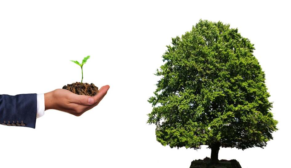 Plantas em Apartamentos